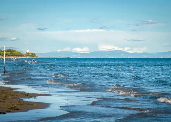 Near In 54730 Apartment