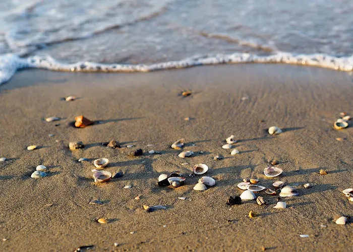 Near In 54730 Apartment